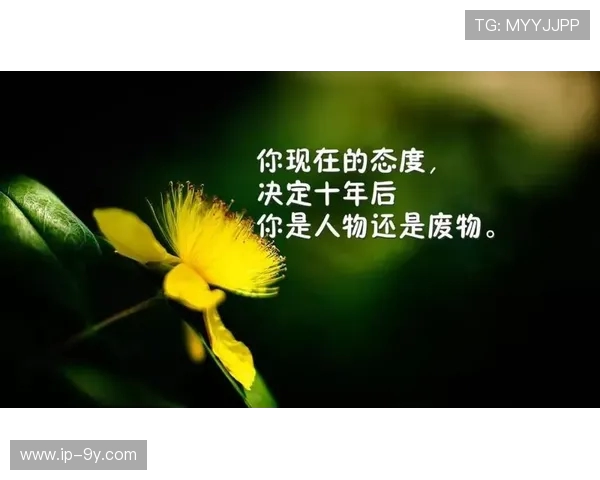 燃动青春的绿茵梦想十本激励人生的足球励志读物推荐